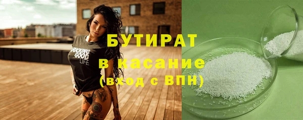 ПСИЛОЦИБИНОВЫЕ ГРИБЫ Гусев