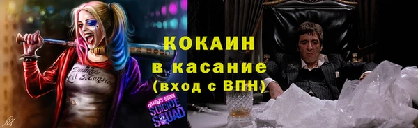сатива Дмитриев