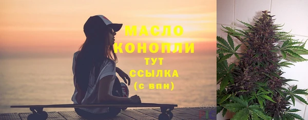 сатива Дмитриев