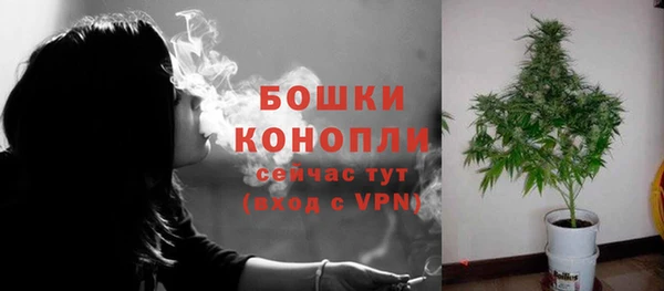 ПСИЛОЦИБИНОВЫЕ ГРИБЫ Гусев