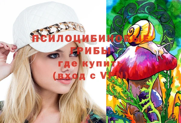 ПСИЛОЦИБИНОВЫЕ ГРИБЫ Гусев