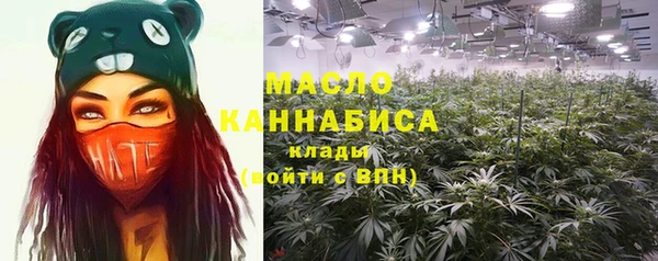 ПСИЛОЦИБИНОВЫЕ ГРИБЫ Гусев