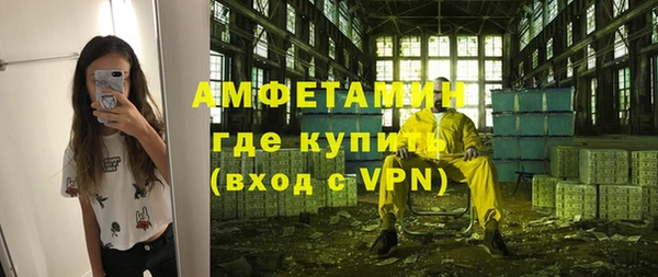 амф Дмитров