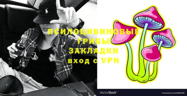 сатива Дмитриев