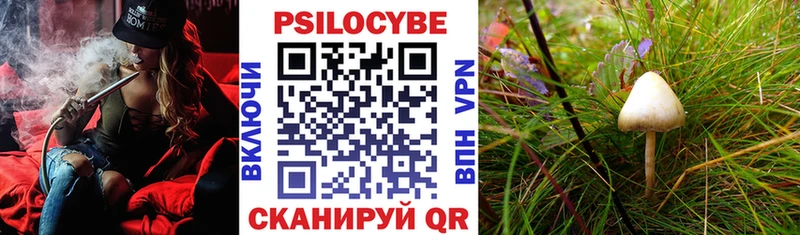 Галлюциногенные грибы MAGIC MUSHROOMS  Рубцовск 
